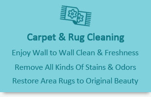 professional carpet cleaning